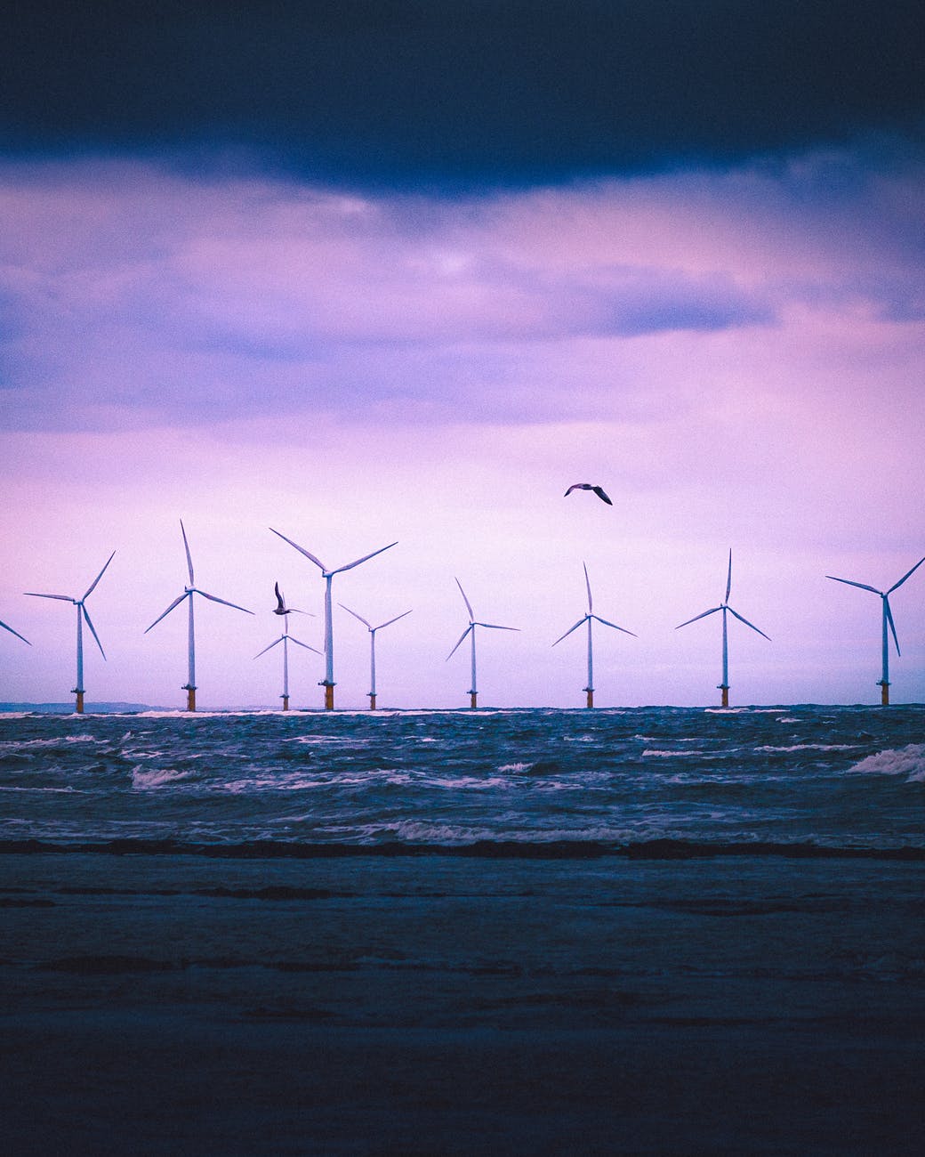 Sourcing your Knowledge