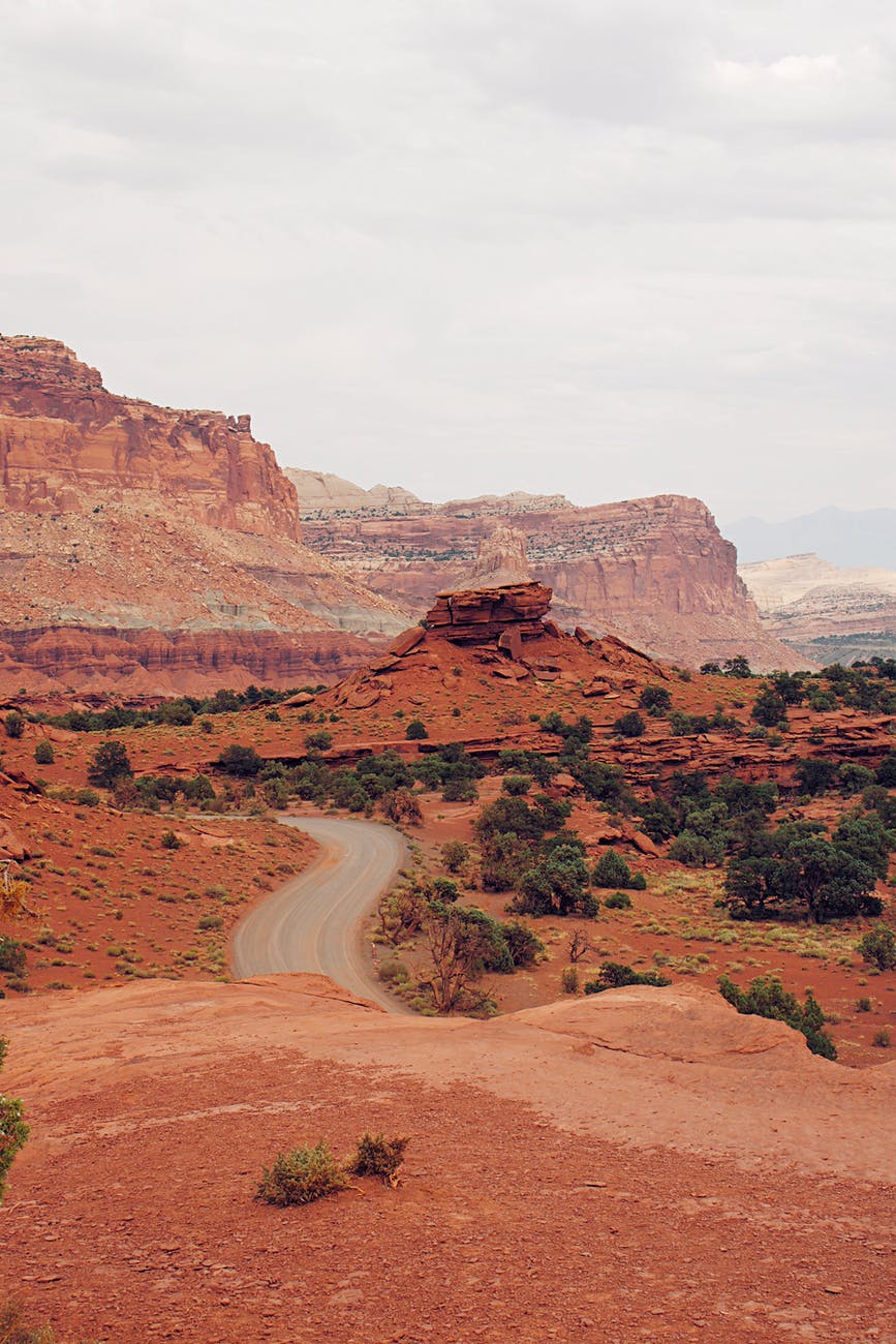 brown rocky mountain with green trees